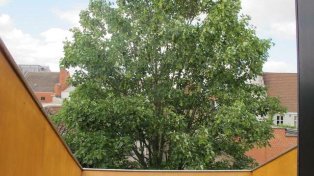 Apartamento Huize Maeterlinck Gante Exterior foto